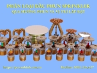 Phân loại đầu phun sprinkler qua hướng phun và vị trí lắp đặt